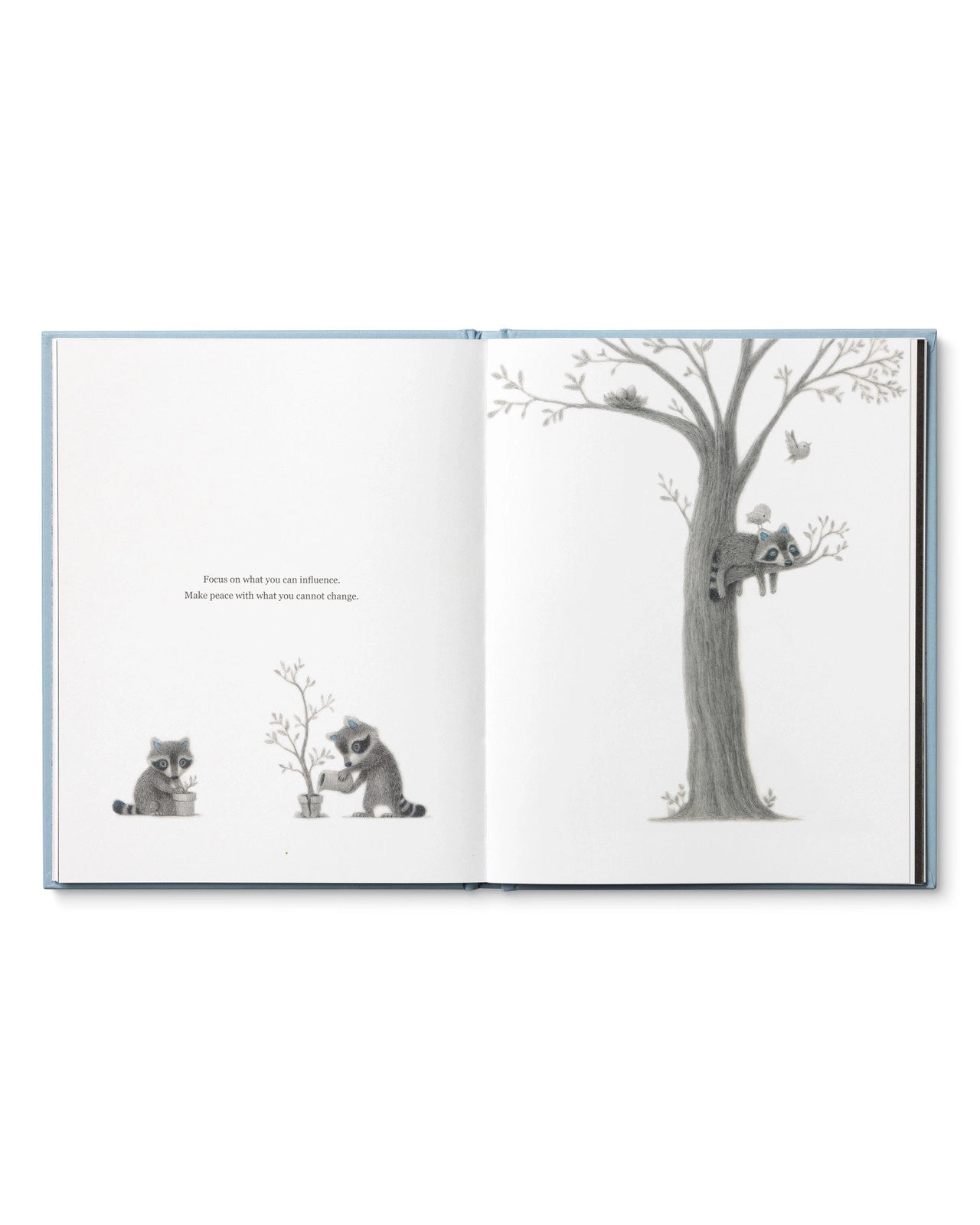 Page of Children's Book called 'Chasing Dreams: how to add more daring to your doing' by Kobi Yamada with a racoon planting trees and watching it grow