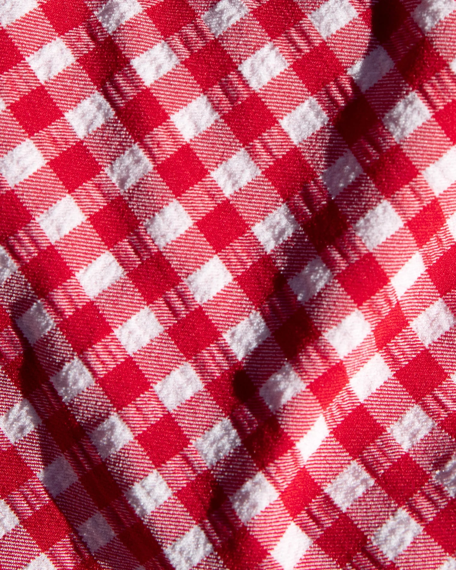 red and white gingham bikini bottom