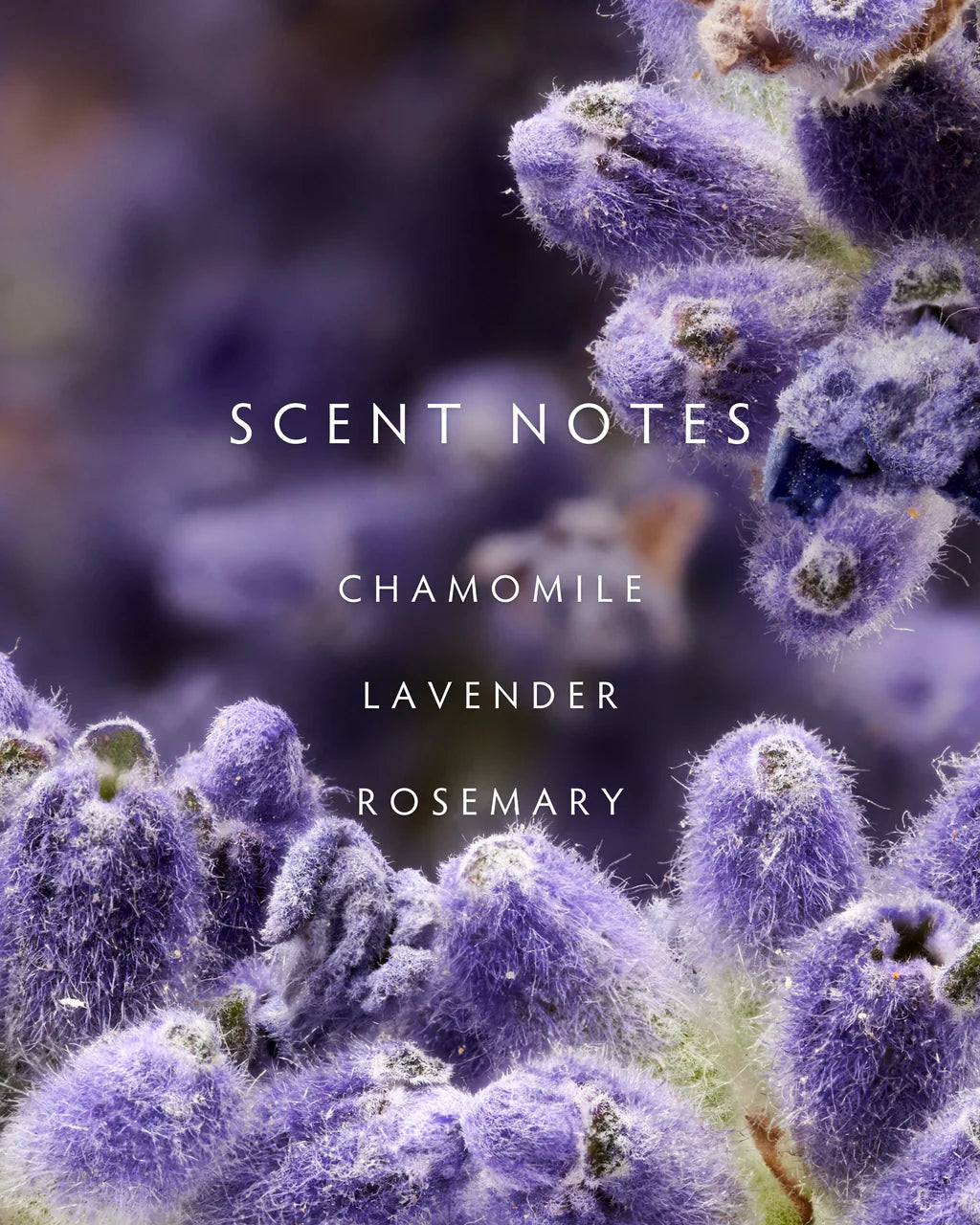 reed diffuser set