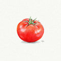 Tomato Miniature Watercolor Painting