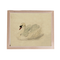 Traditional Swan | 115
