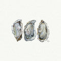 Oysters Miniature Watercolor Painting