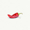 Chili Pepper Miniature Watercolor Painting