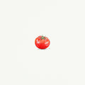 Tomato Miniature Watercolor Painting