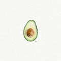 Avocado Miniature Watercolor Painting - Art Print