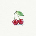 Cherries Miniature Watercolor Painting