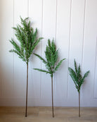 Cypress Pine Faux Stems