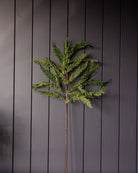 Cypress Pine Faux Stems