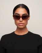 brown frame sunglasses 