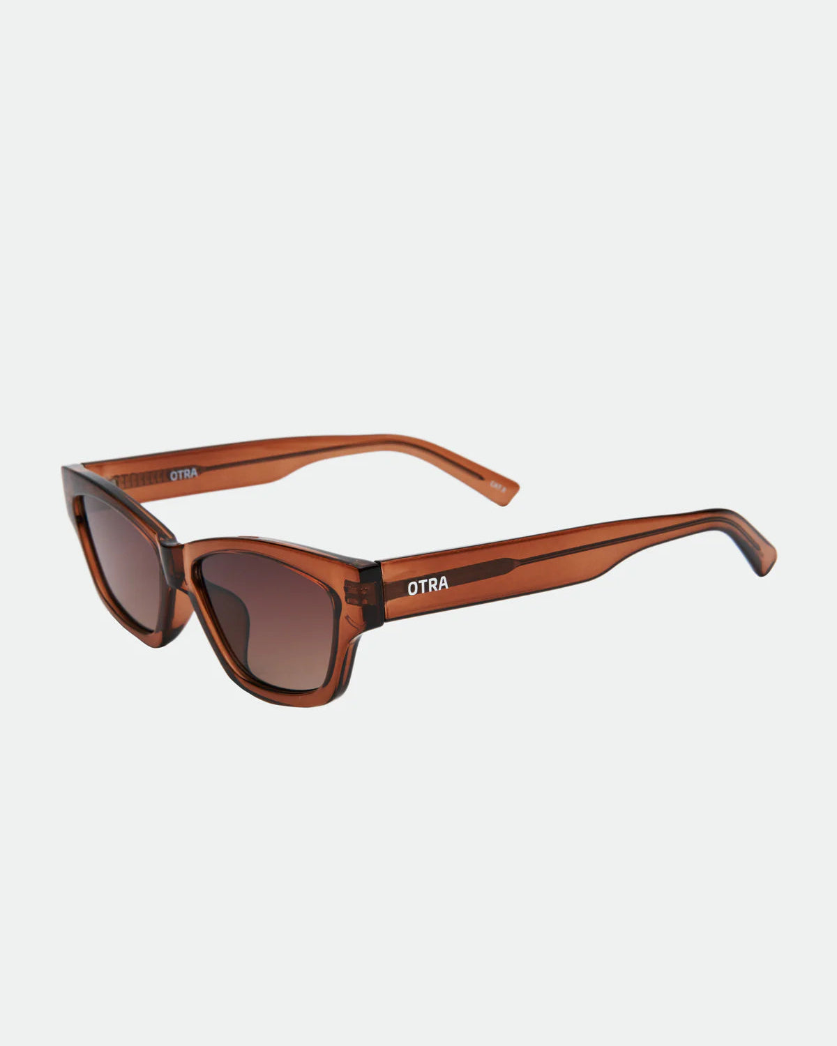 brown frame sunglasses 