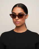 brown frame sunglasses 