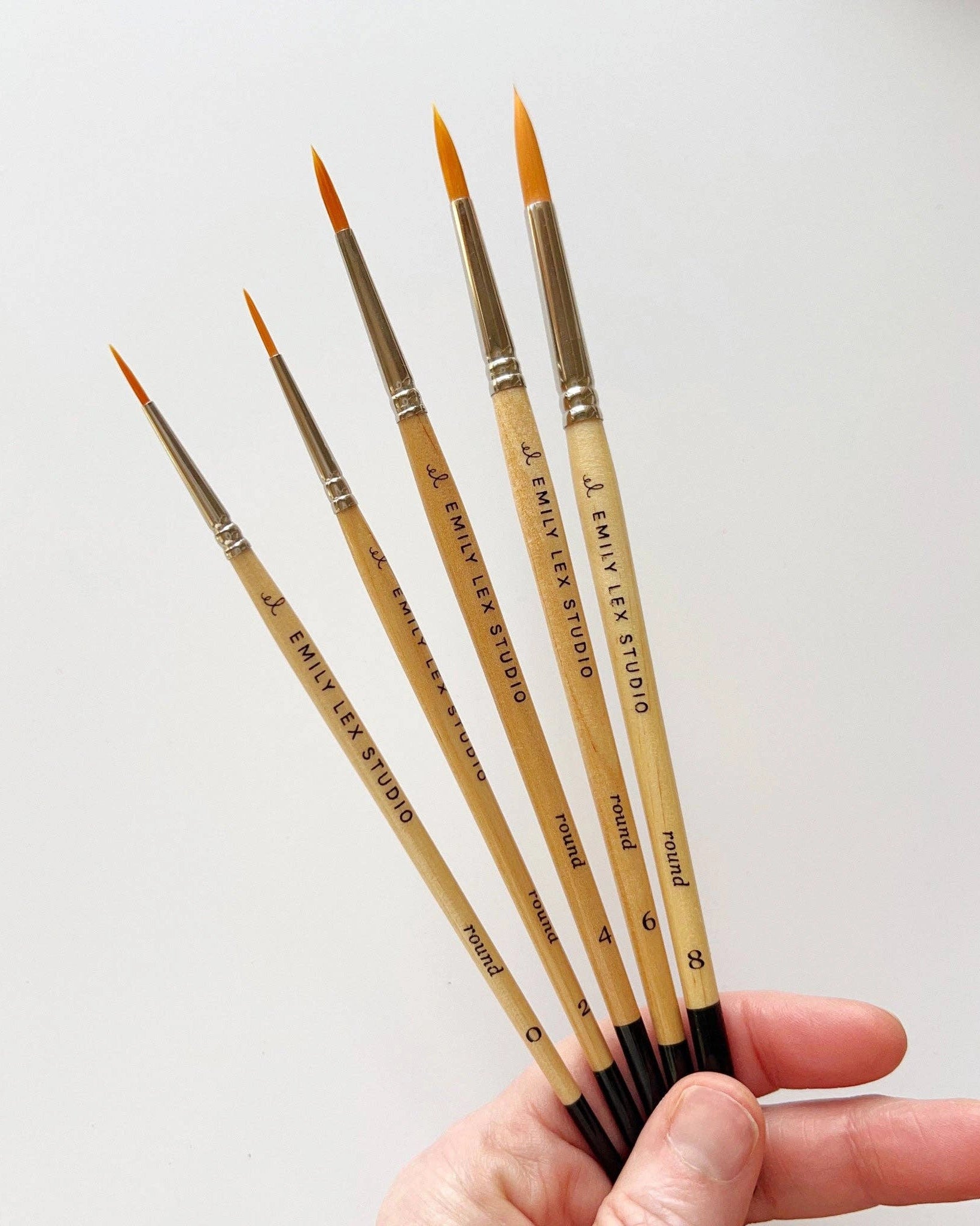Set of watercolour paintbrushes with 'Emilie Lex Studio' branding held by a hand 