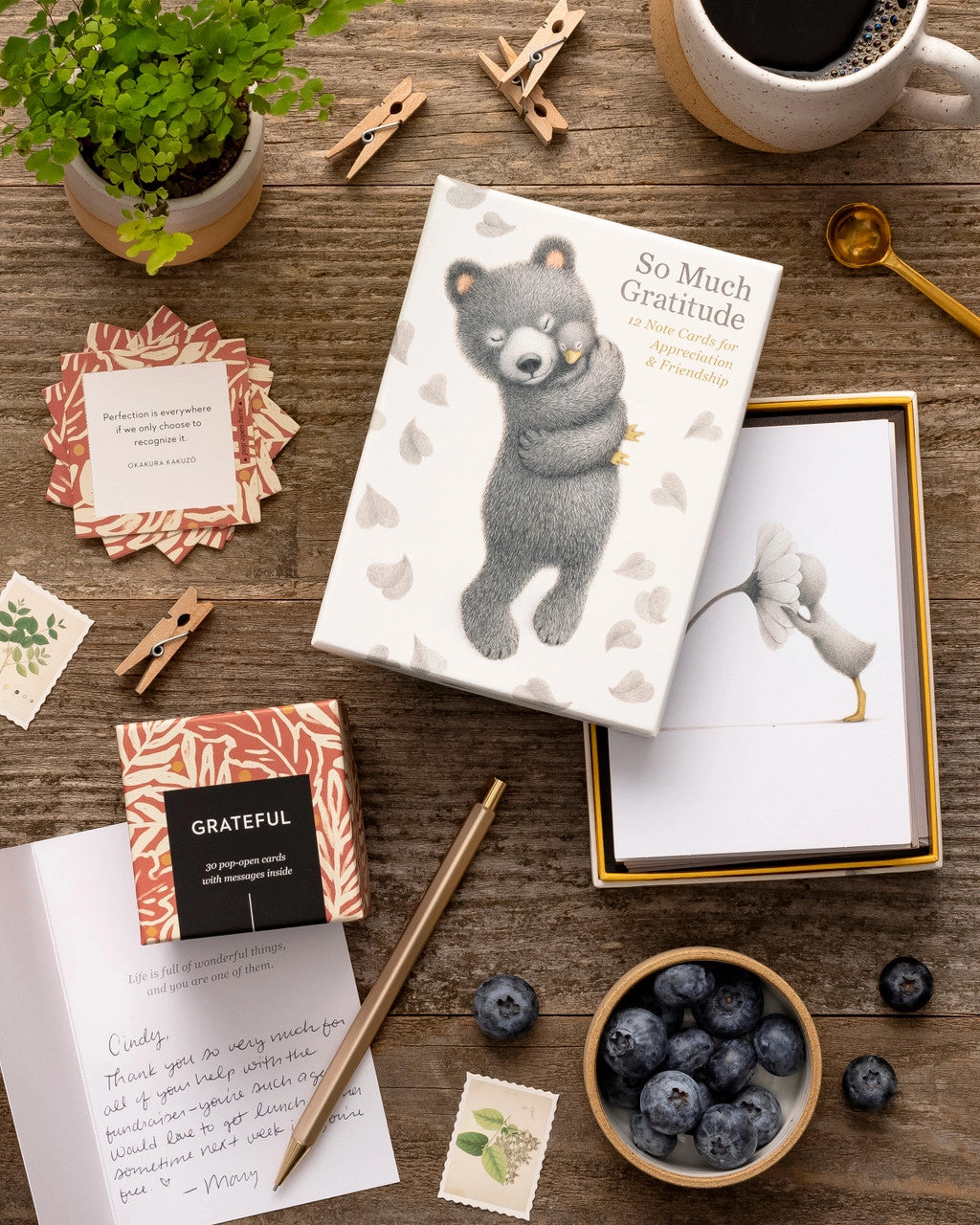 'So Much Gratitude' note cards box set for appreciation and friendship with a photo of a bear hugging a duckling and an example card from the set of a duckling smelling a flower
