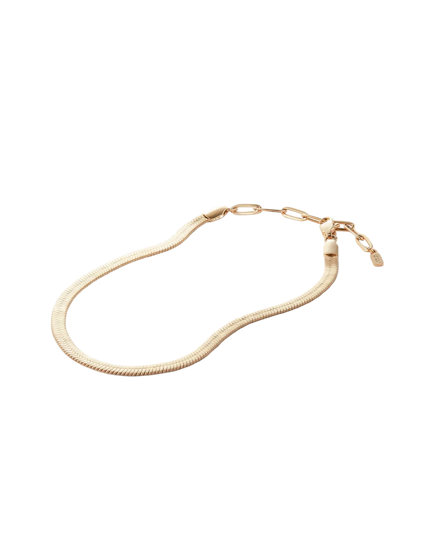 gold anklet