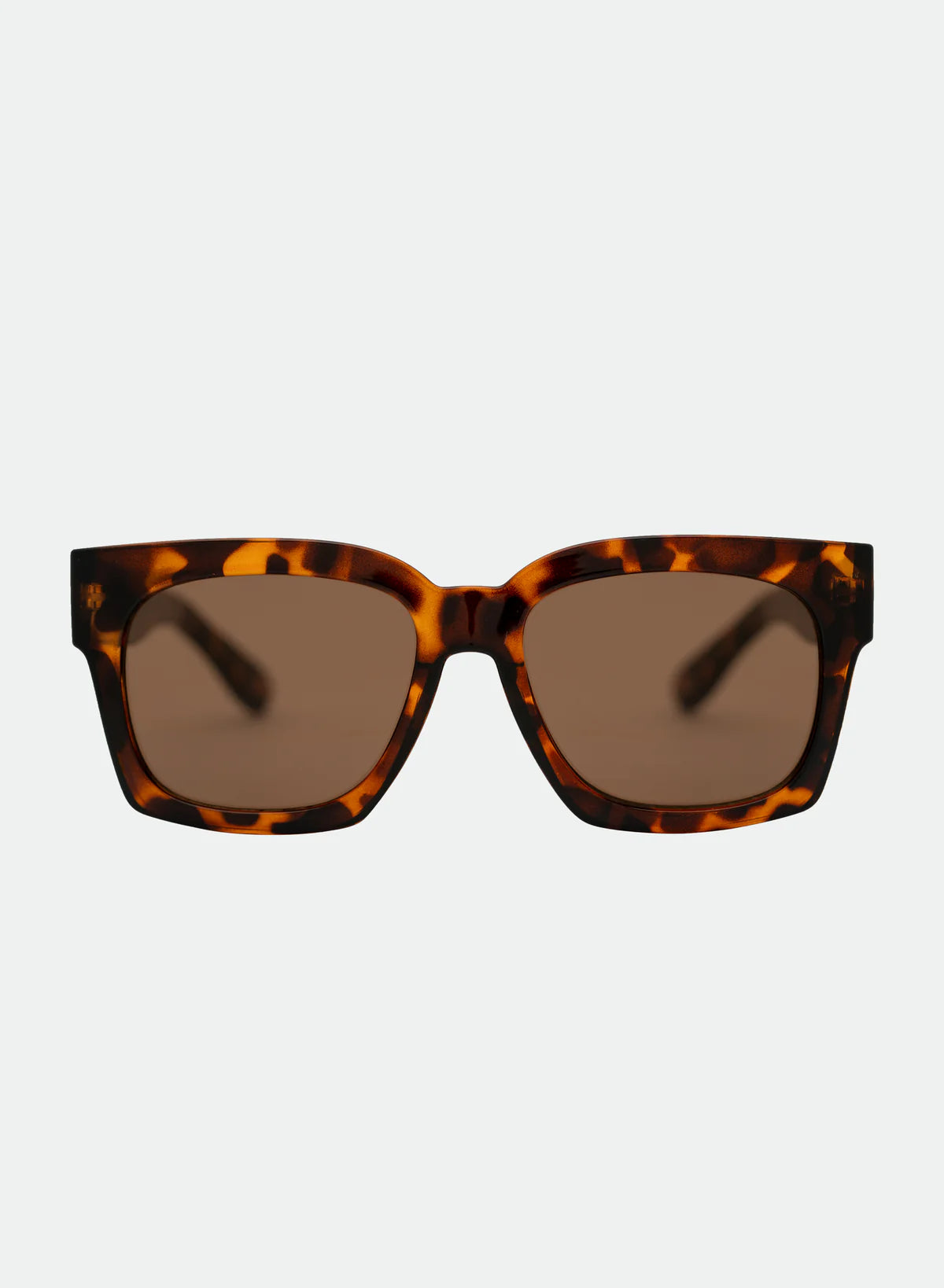large tortoise sunglasses