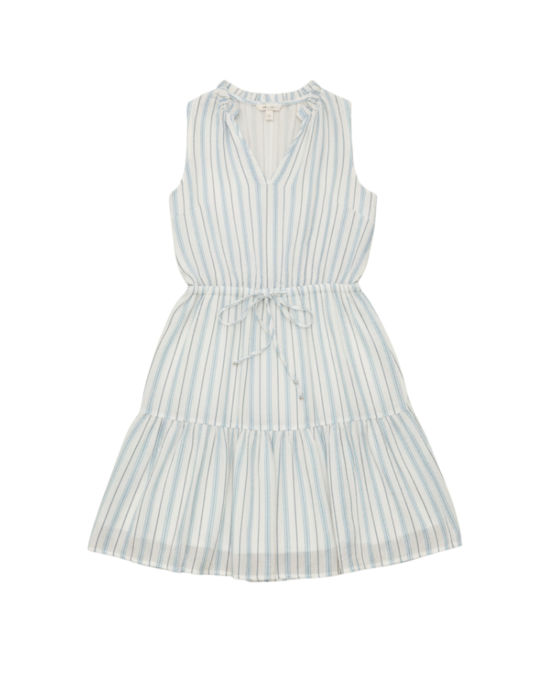 stiped mini dress in blue