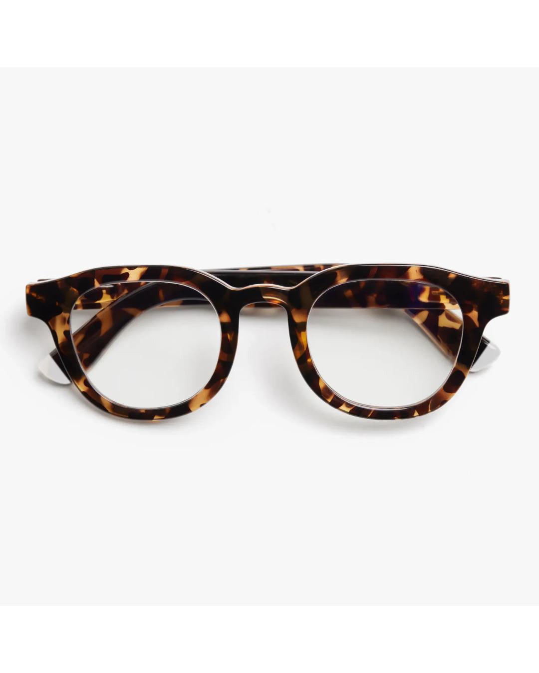 eyeglasses with a tortoise frame