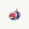 Fig