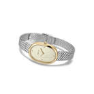 watch with silver band and gold face 