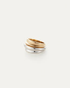 two rings in silver and gold