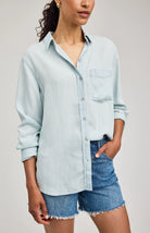 blue stripe button down