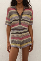 multi color stripe polo knit top