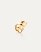jenny bird gold statement ring