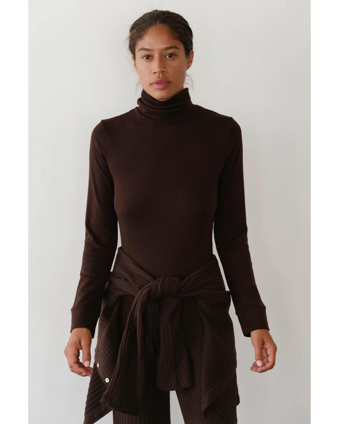 brown long sleeve turtleneck