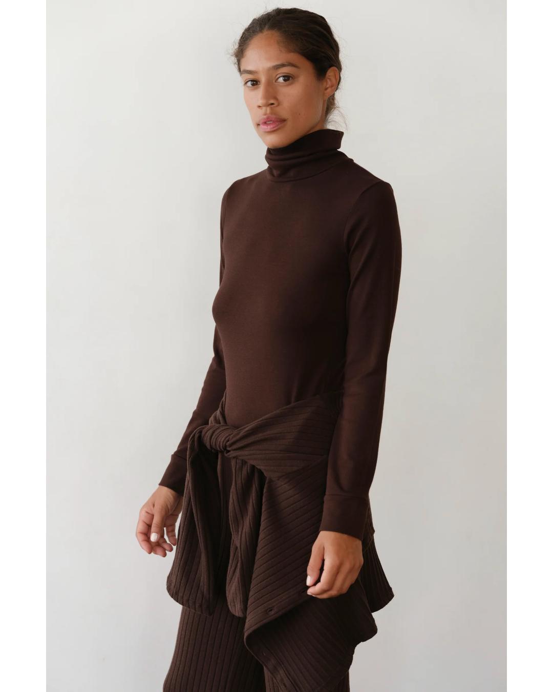 brown long sleeve turtleneck