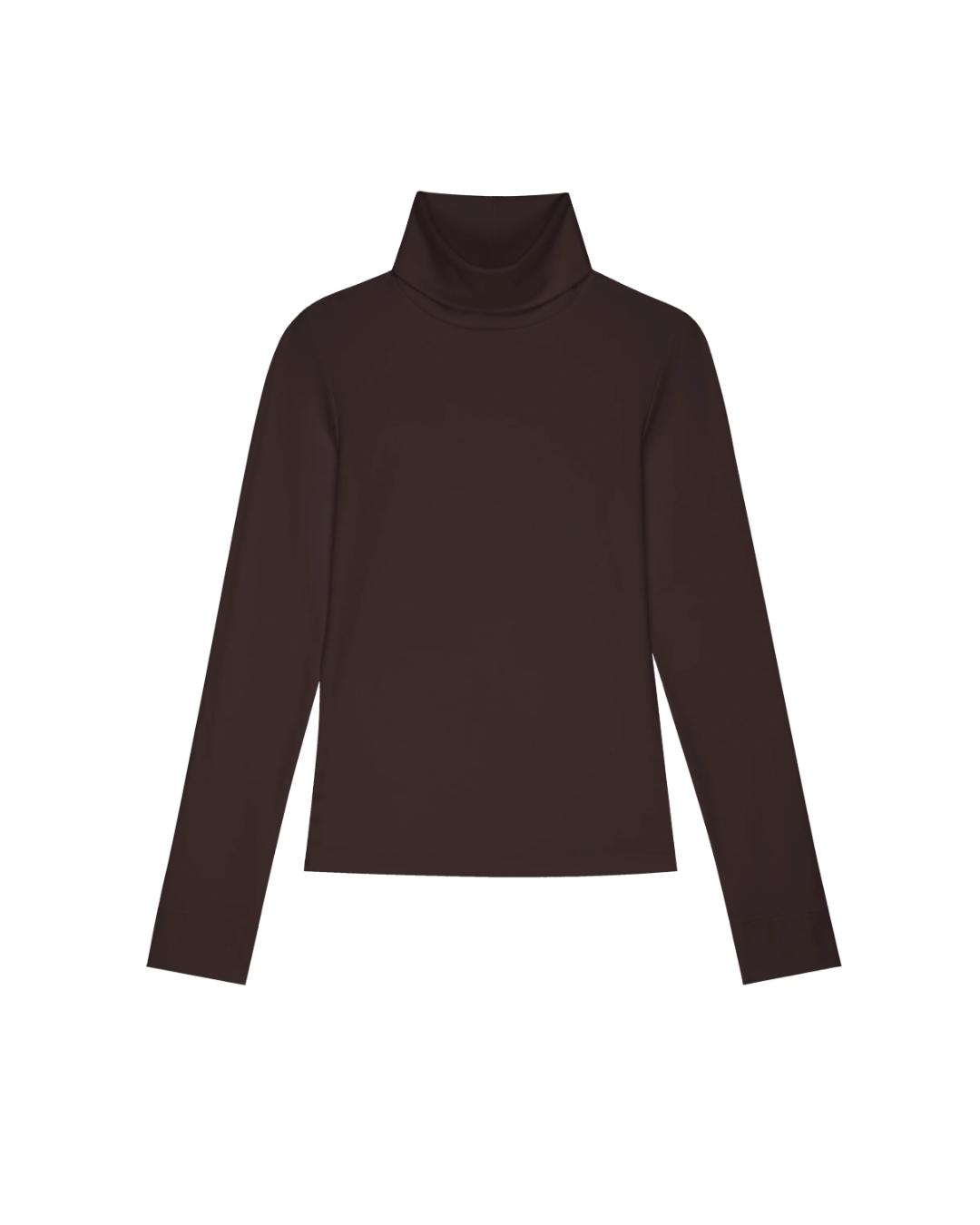brown long sleeve turtleneck