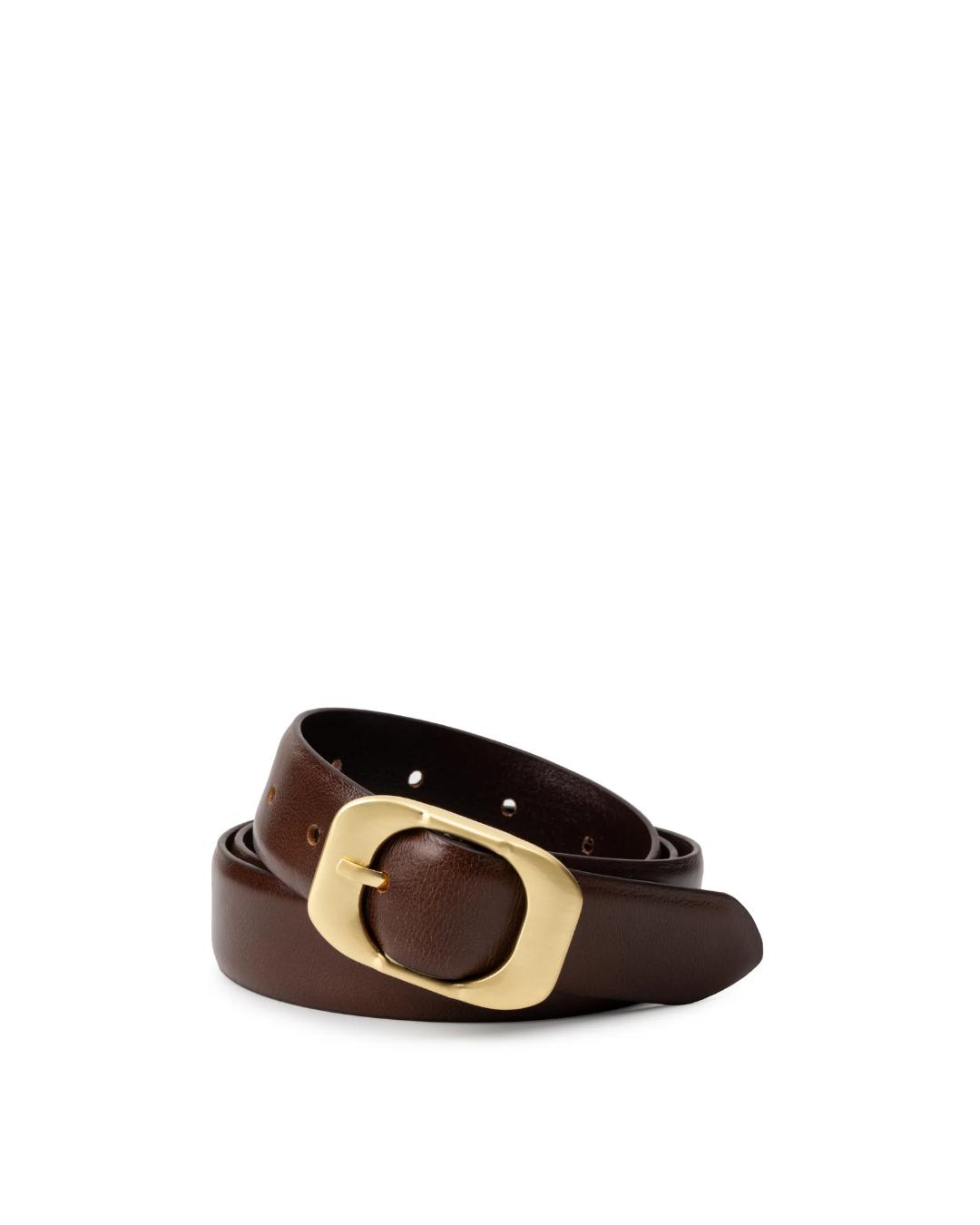 brown leather belt with round gold buckle