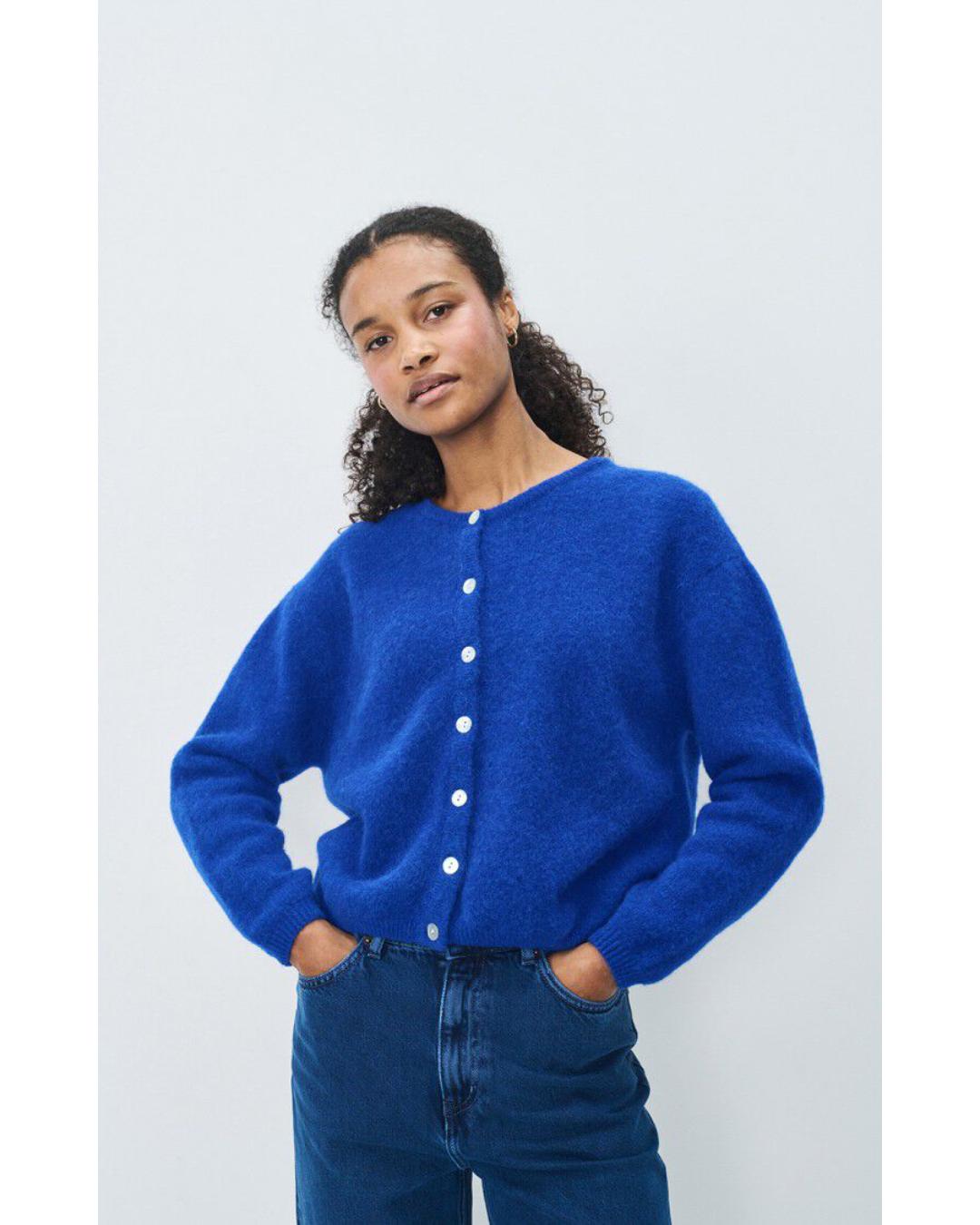 royal blue cardigan