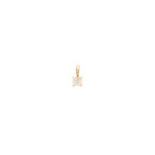 Load image into Gallery viewer, Element Charm - 14k Gold
